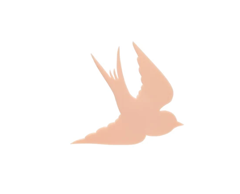 A Pound of Flesh American Traditional Collection