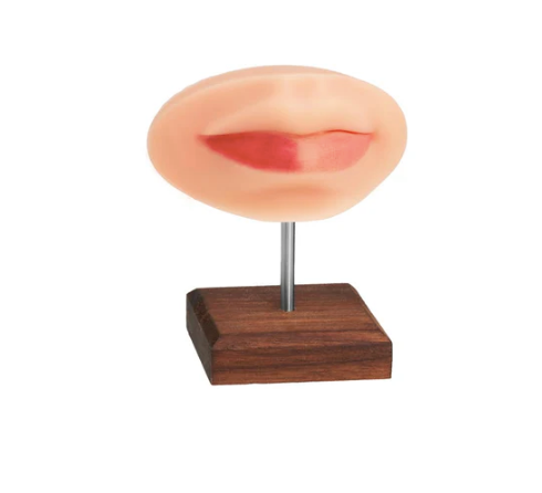 A Pound of Flesh 3D Lips Practice Skin + Piercing Body Bit