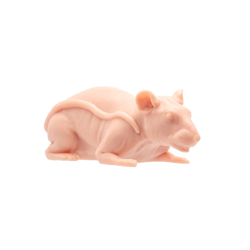 A Pound of Flesh Tattooable Synthetic Naked Rat