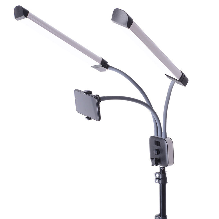Double LED Light 50W