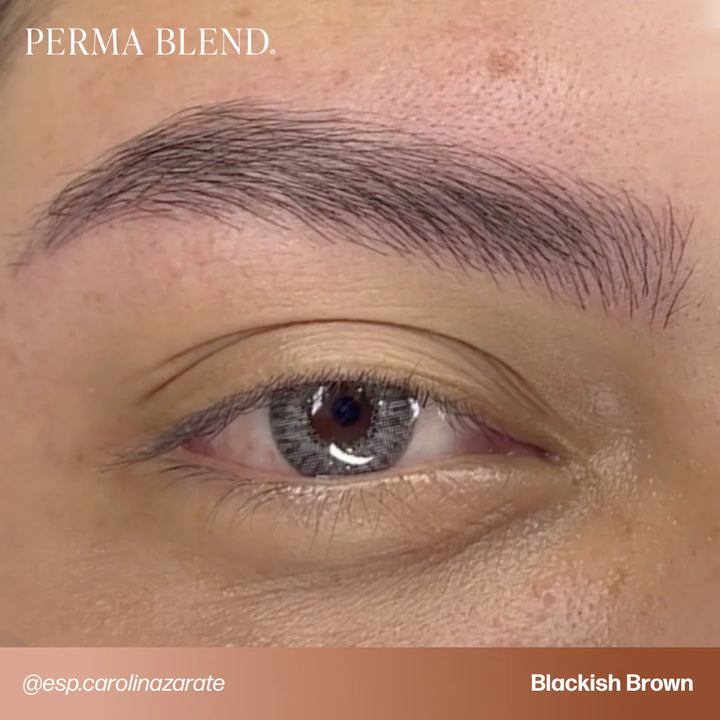 Perma Blend — Signature Brow Set