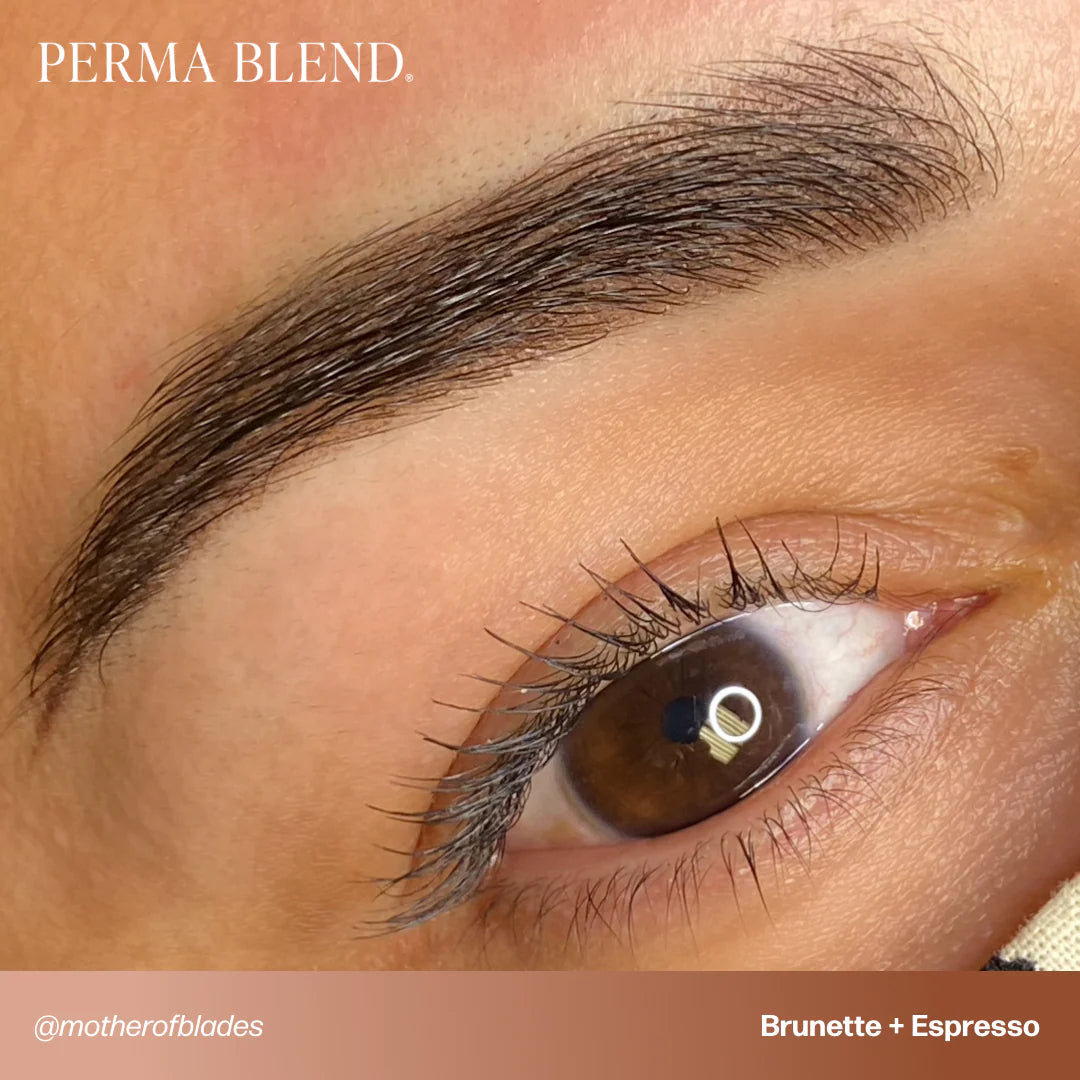 Perma Blend — Signature Brow Set