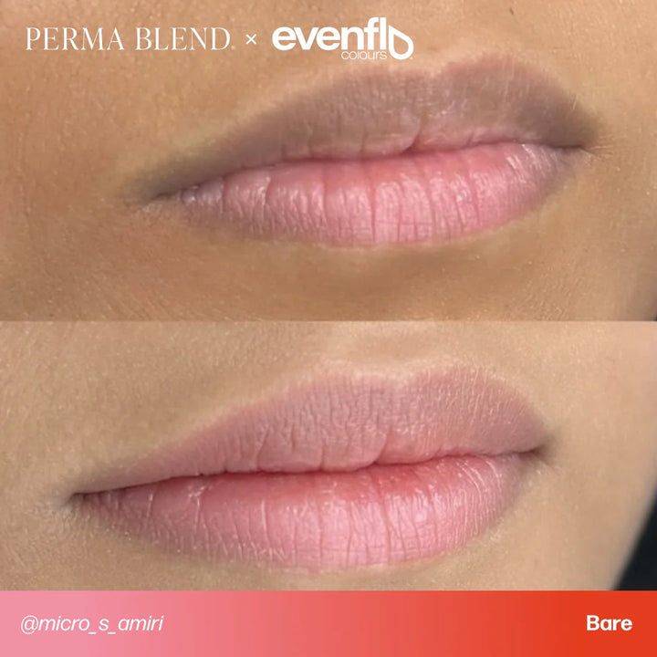 Evenflo Bare