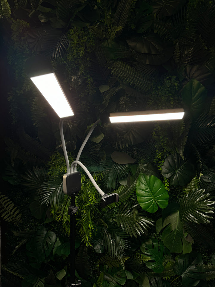 Double LED Light 50W