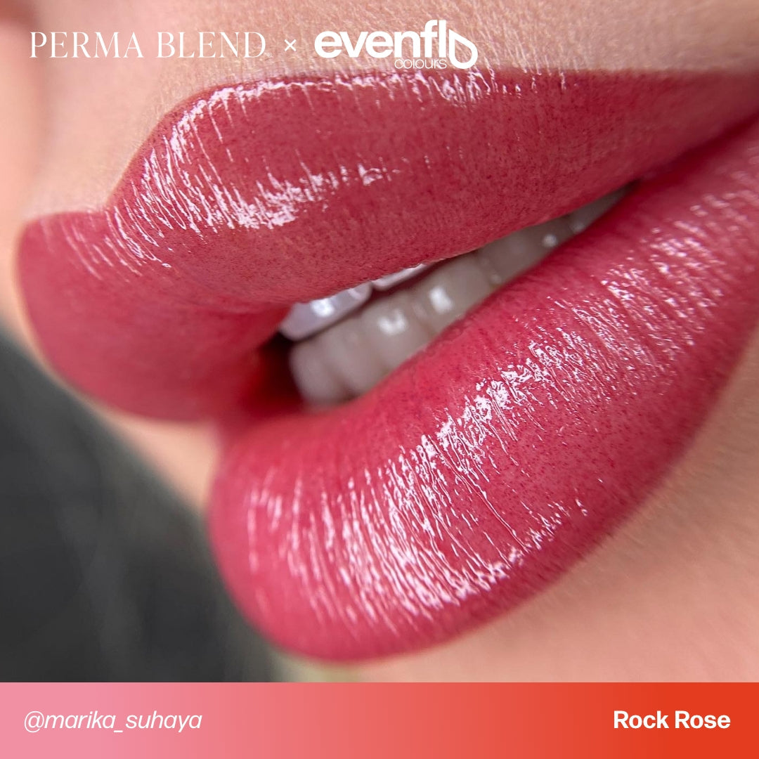 LUXE Evenflo - Rock Rose