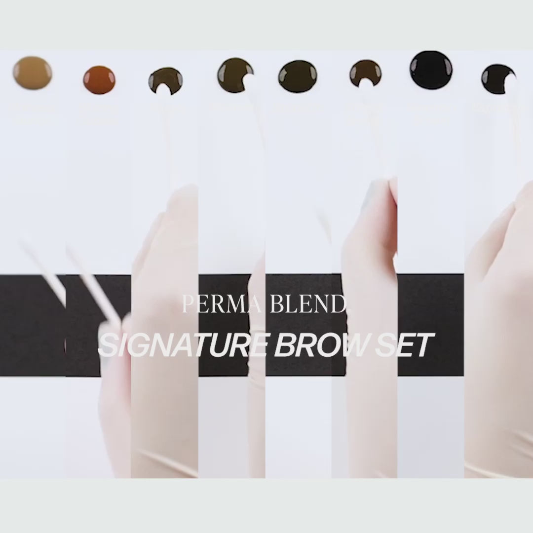 Perma Blend — Signature Brow Set