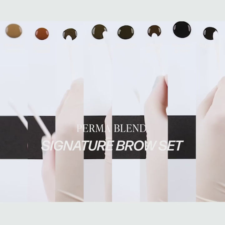 Perma Blend — Signature Brow Set